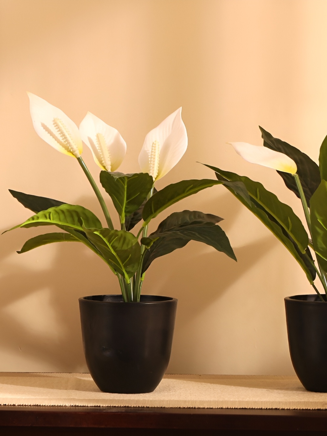 

Elemntl Green & Black 2 Pieces Anthurium Artificial Potted Peace Lily Plants With Pot