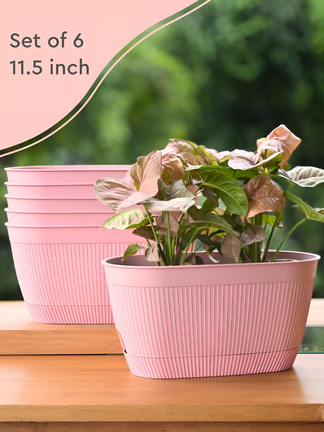 

eha 6-Pcs Pink Rectangular Planter