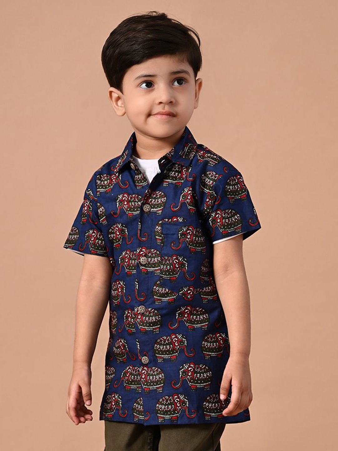 

BAESD Boys Comfort Animal Opaque Printed Casual Shirt, Blue