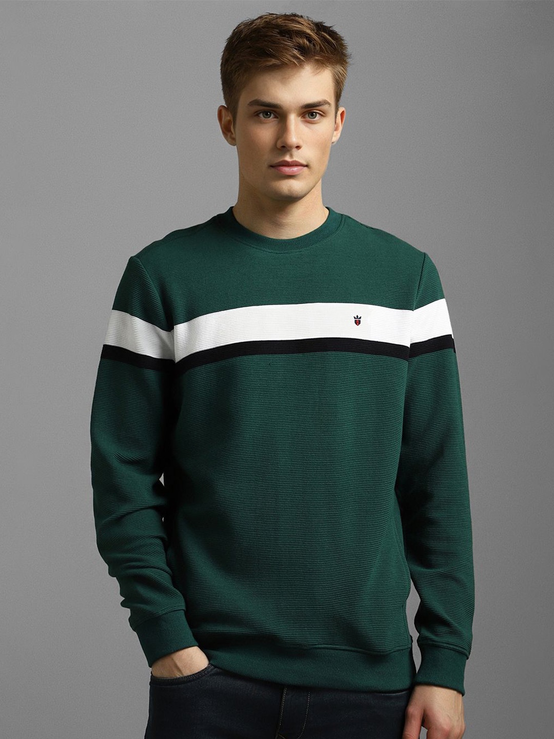 

Louis Philippe Sport Men Colourblocked Cotton Sweatshirt, Green