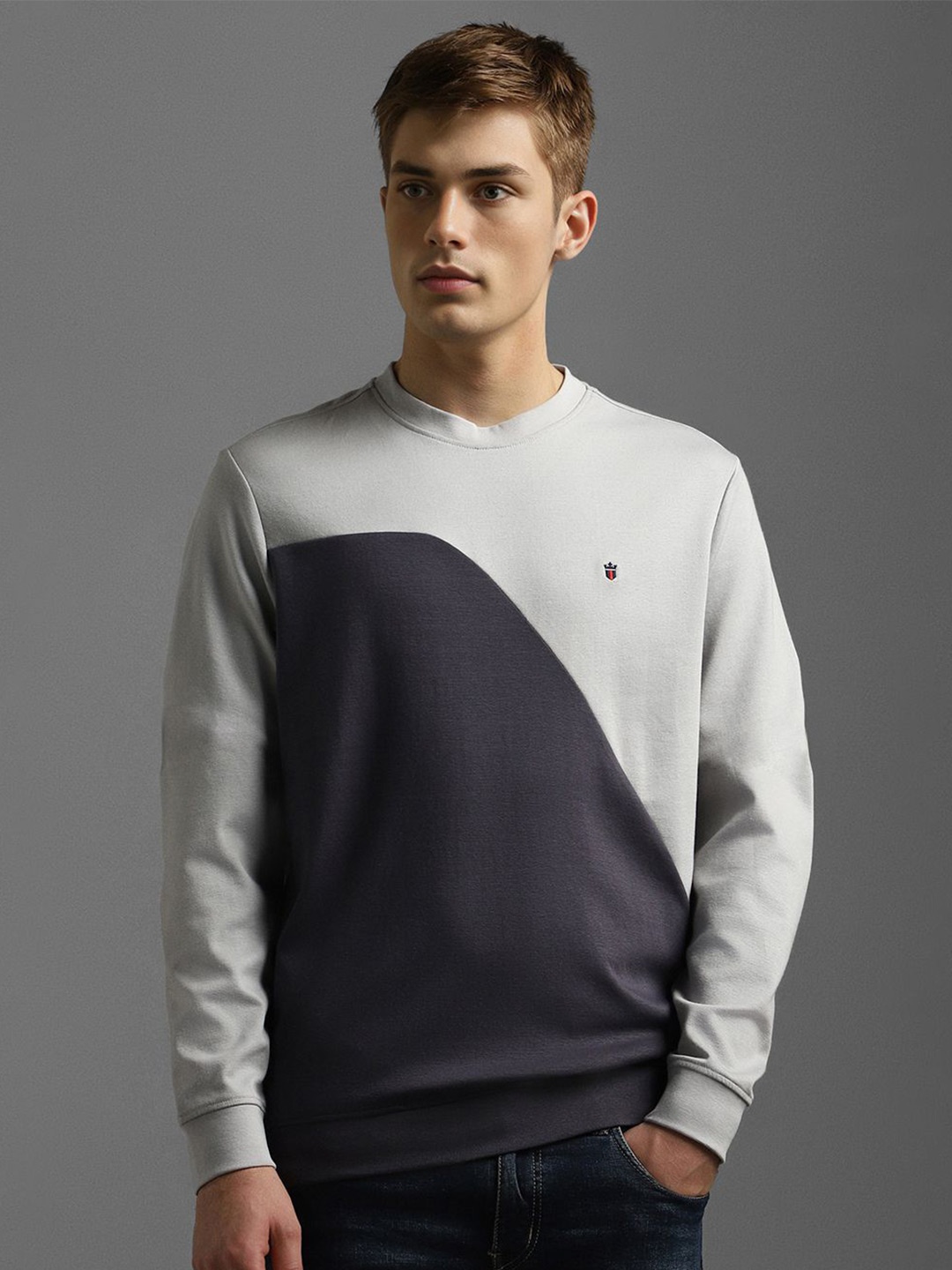 

Louis Philippe Sport Men Colourblocked Cotton Sweatshirt, Grey