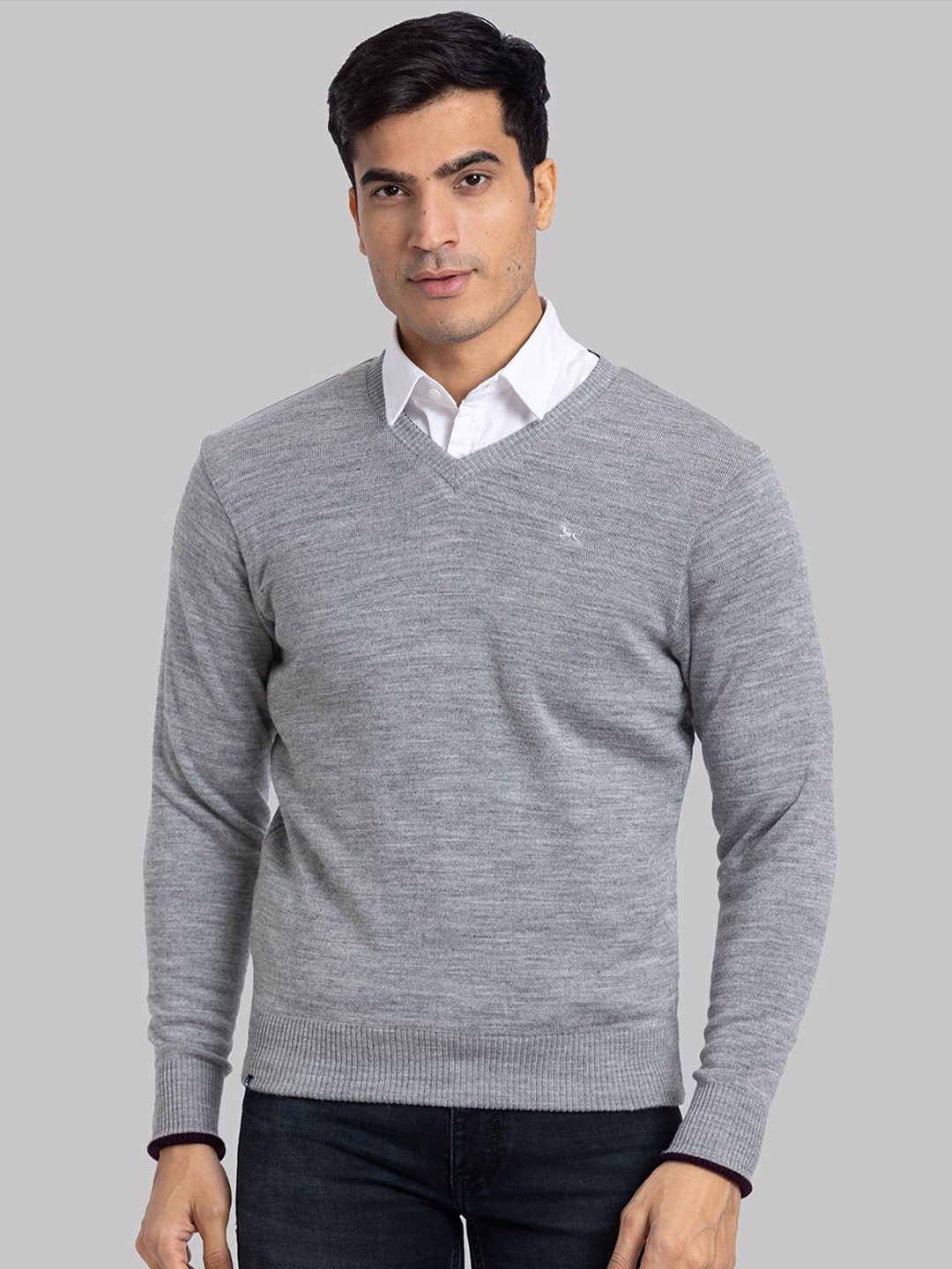 

Parx Men Pullover, Violet