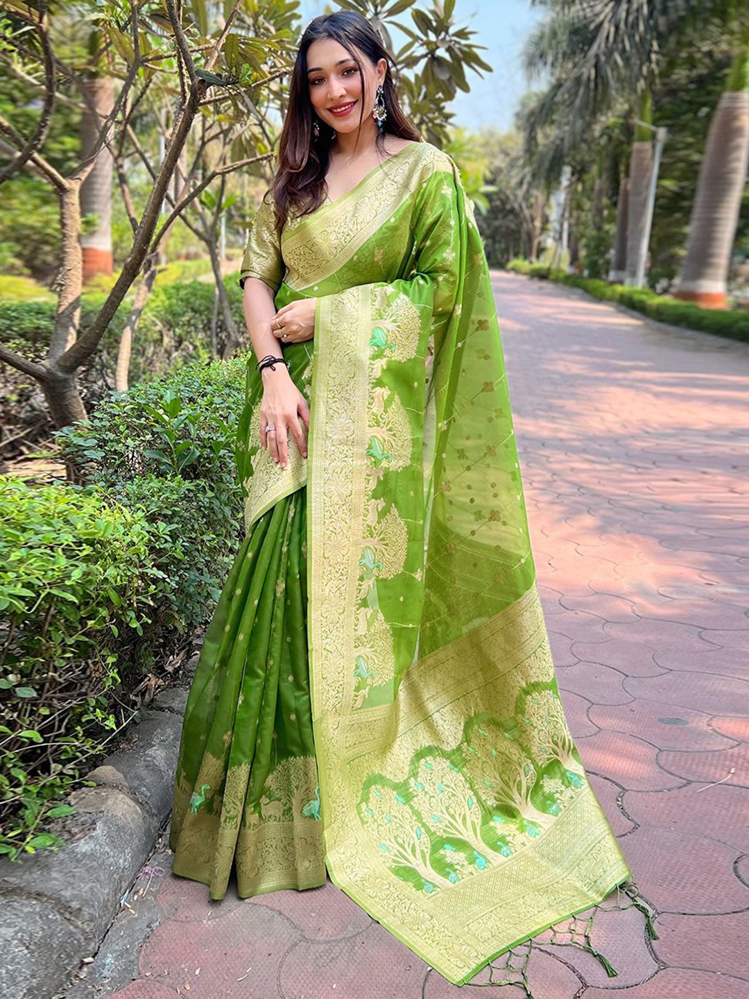 

DEVATITHI Woven Design Zari Organza Saree, Green