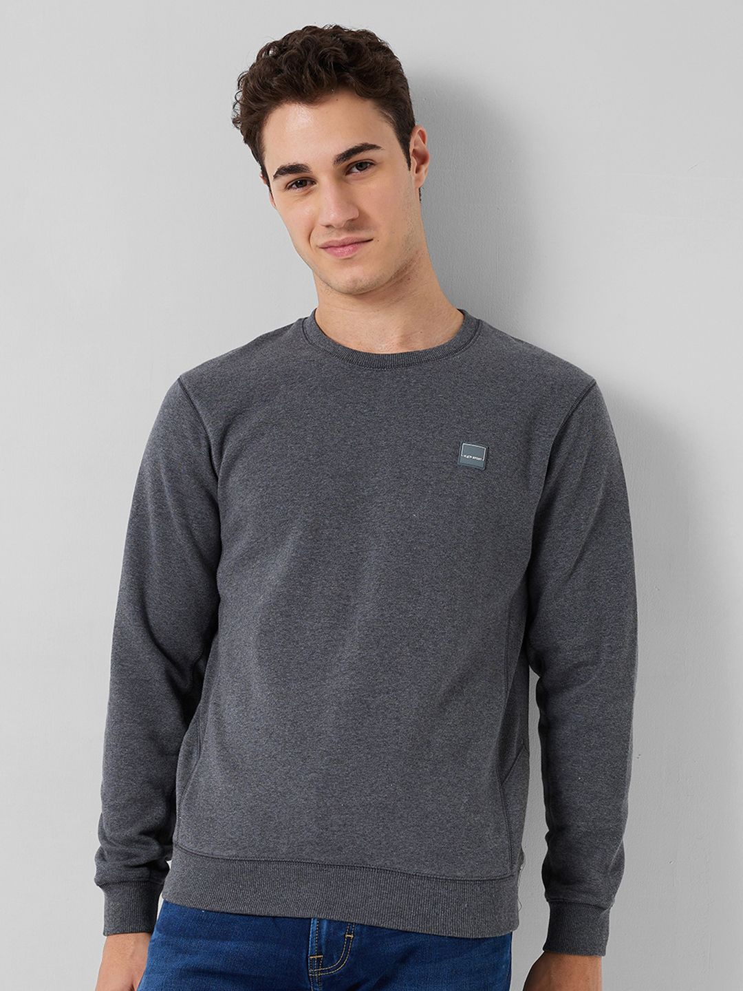 

ColorPlus Men Sweatshirt, Grey