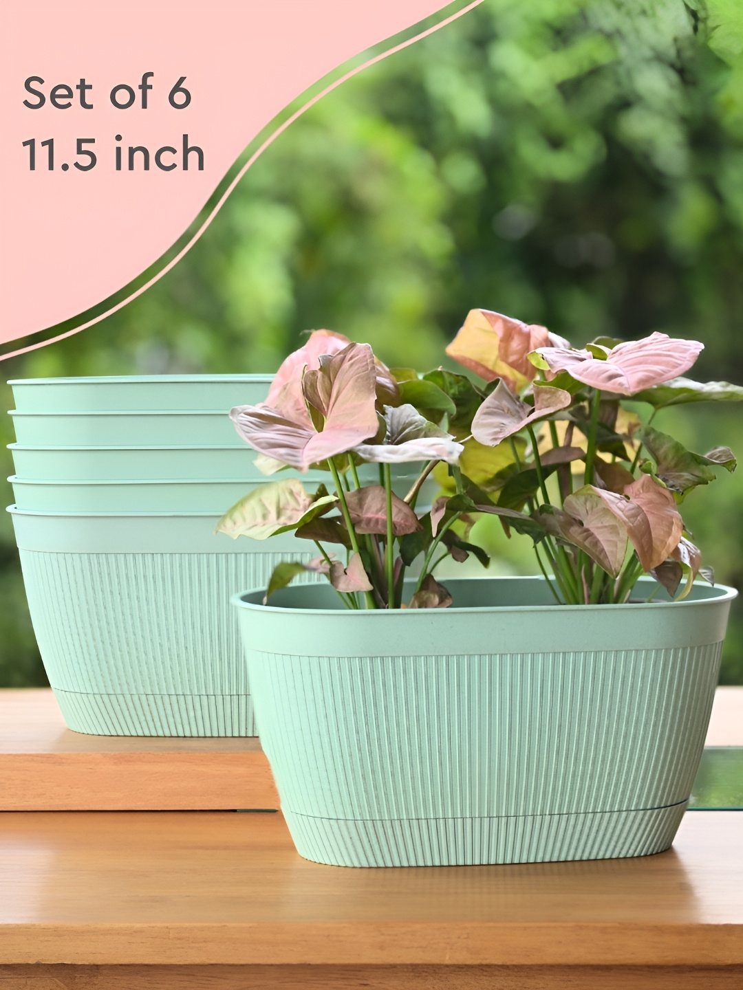 

eha 6-Pcs Green Rectangular Planter