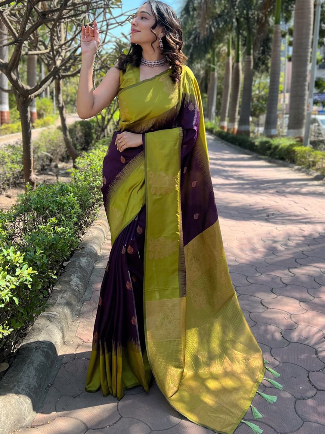 

DEVATITHI Woven Design Zari Silk Blend Banarasi Saree, Maroon