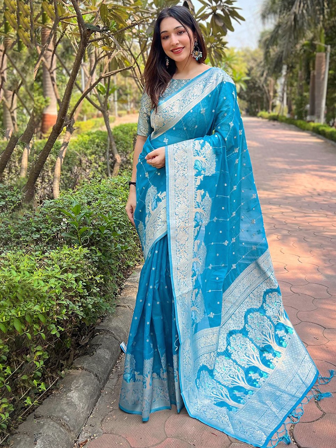 

DEVATITHI Woven Design Zari Organza Saree, Blue