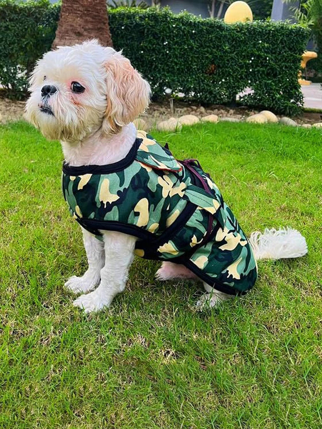

Lulala Printed Dog Winter Jacket, Green