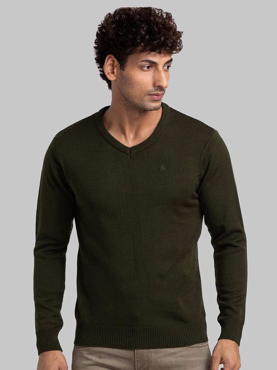 

Parx Men Pullover, Green