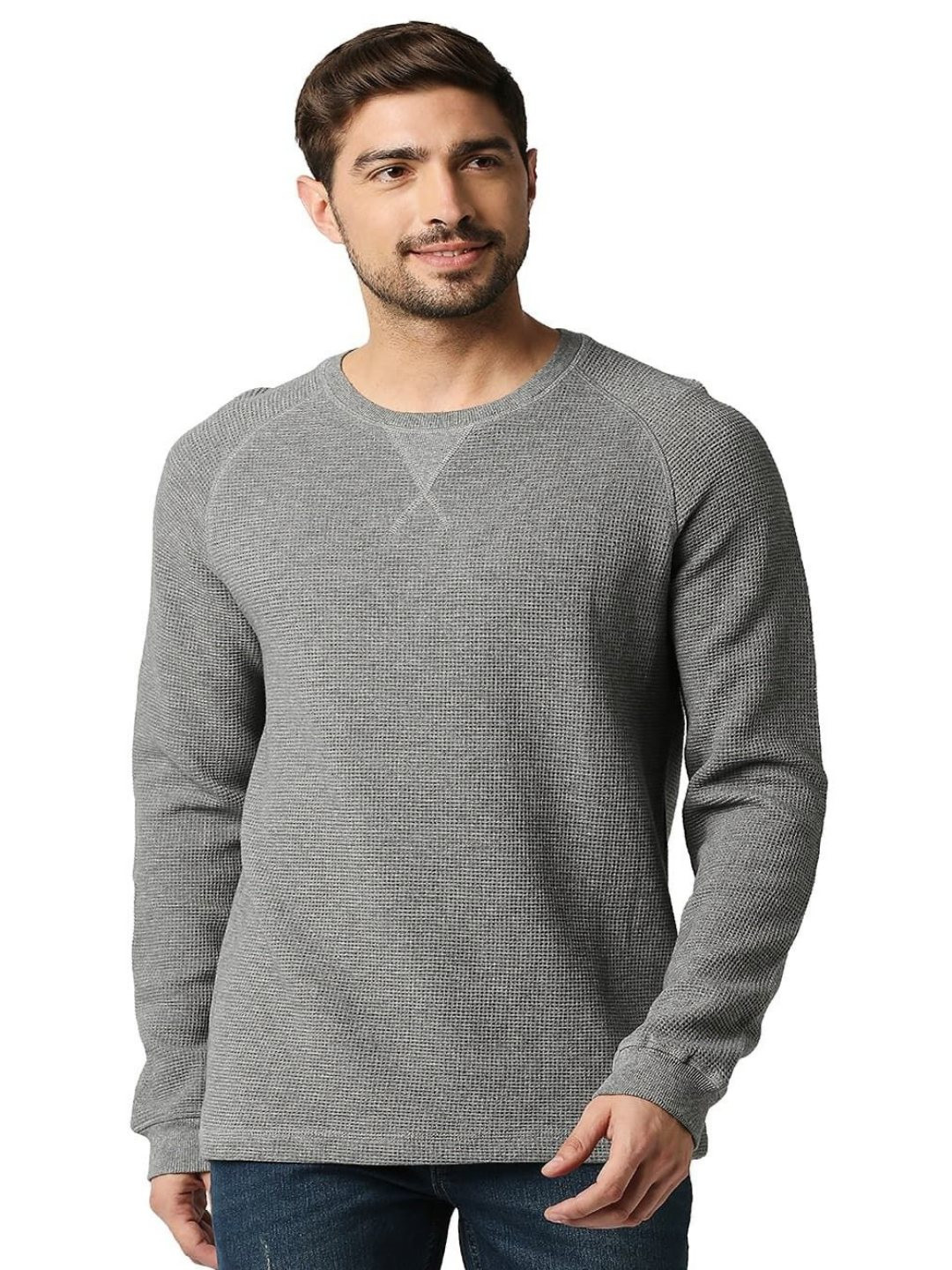 

Basics Men Self Design Round Neck Slim Fit Pure Cotton T-shirt, Grey