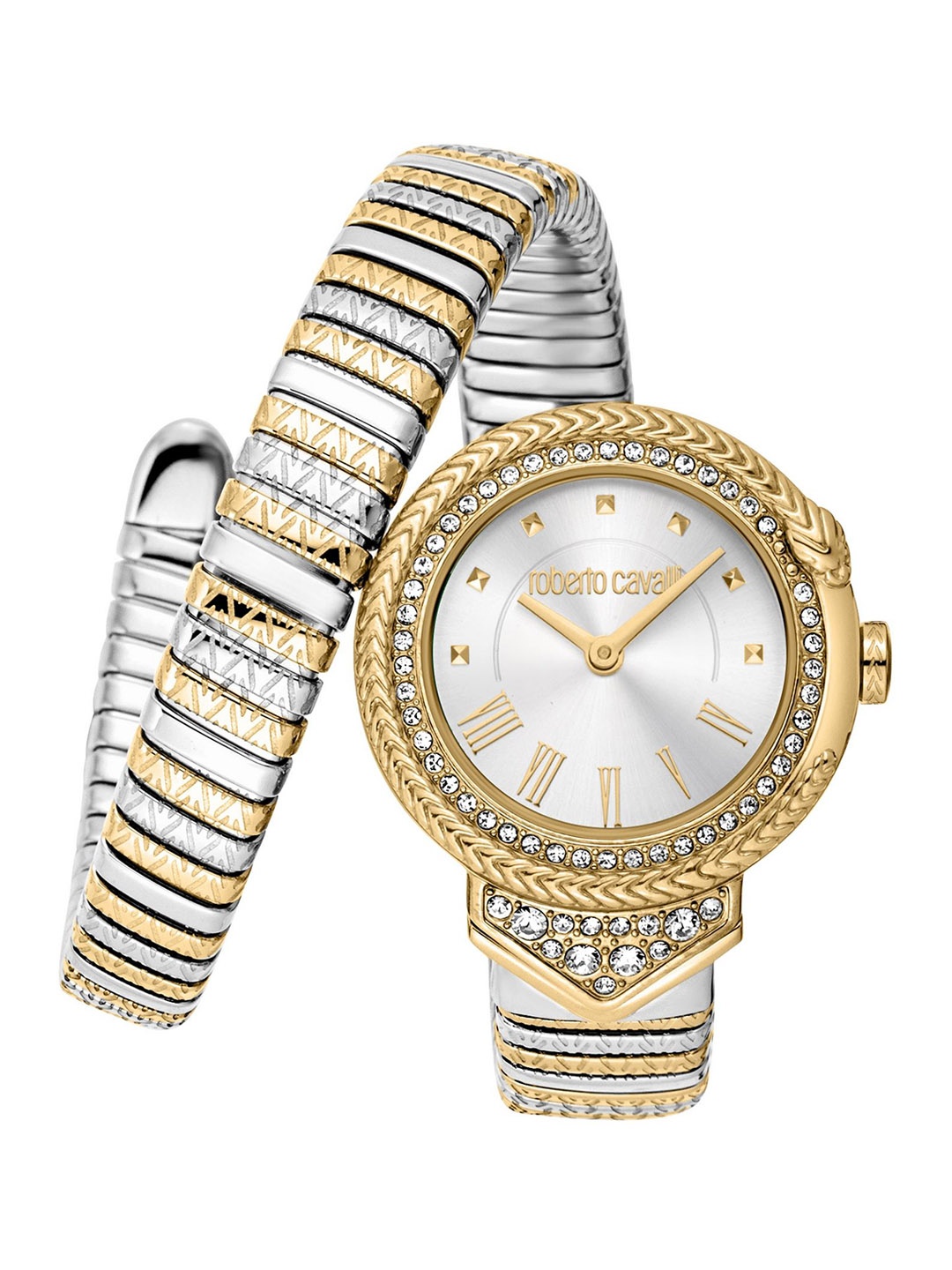 

Roberto Cavalli Women Embellished Dial & Stainless Steel Straps Analogue Watch RC5L075M0055, Multi