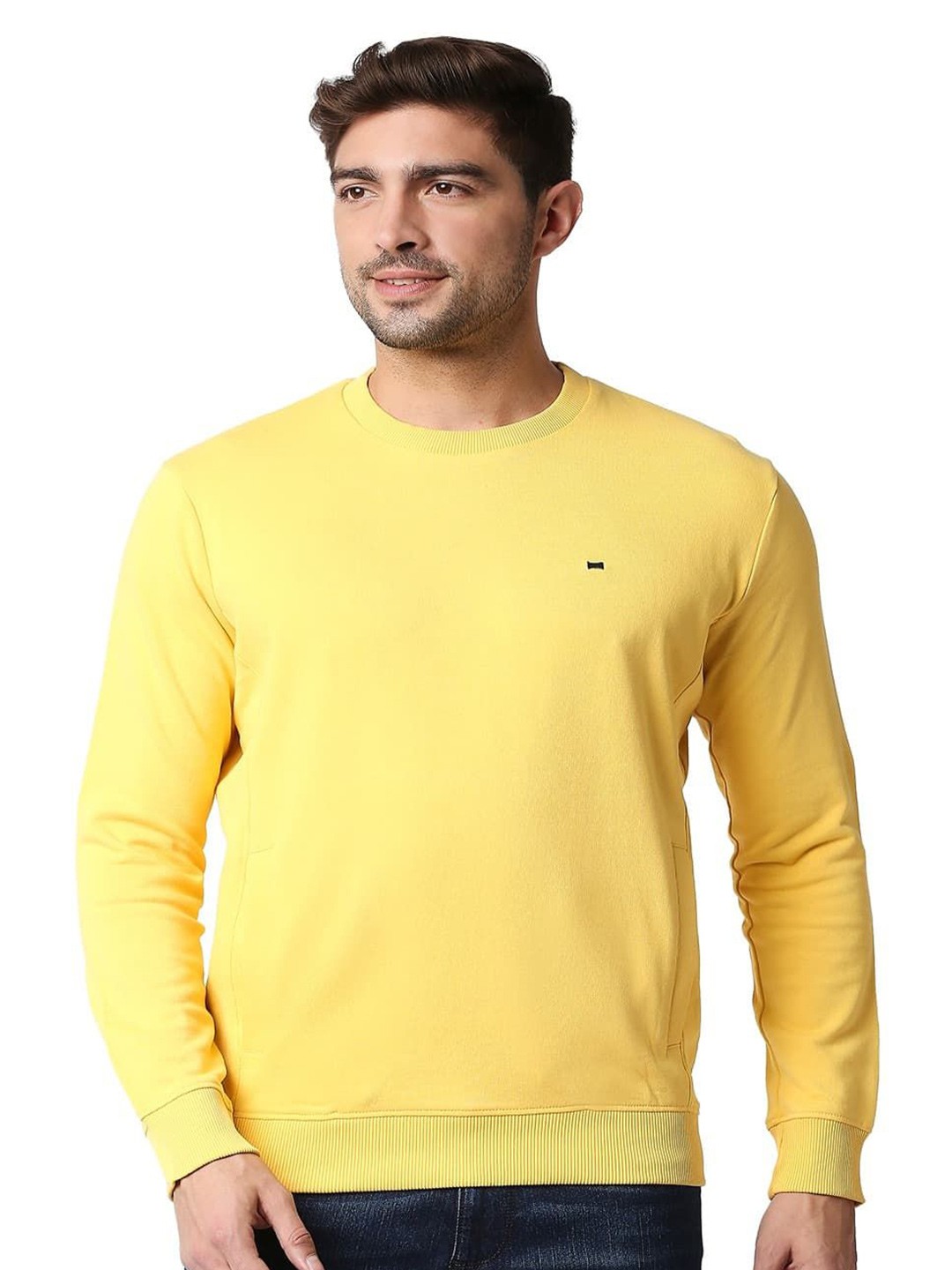 

Basics Men Pullover, Yellow