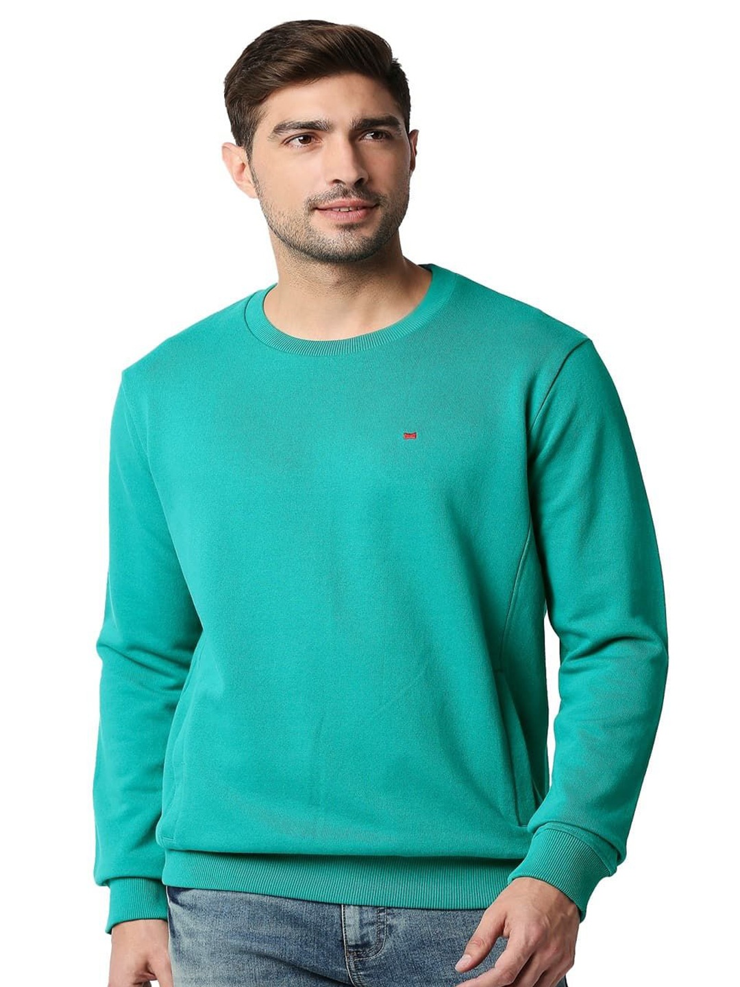 

Basics Men Pullover, Green