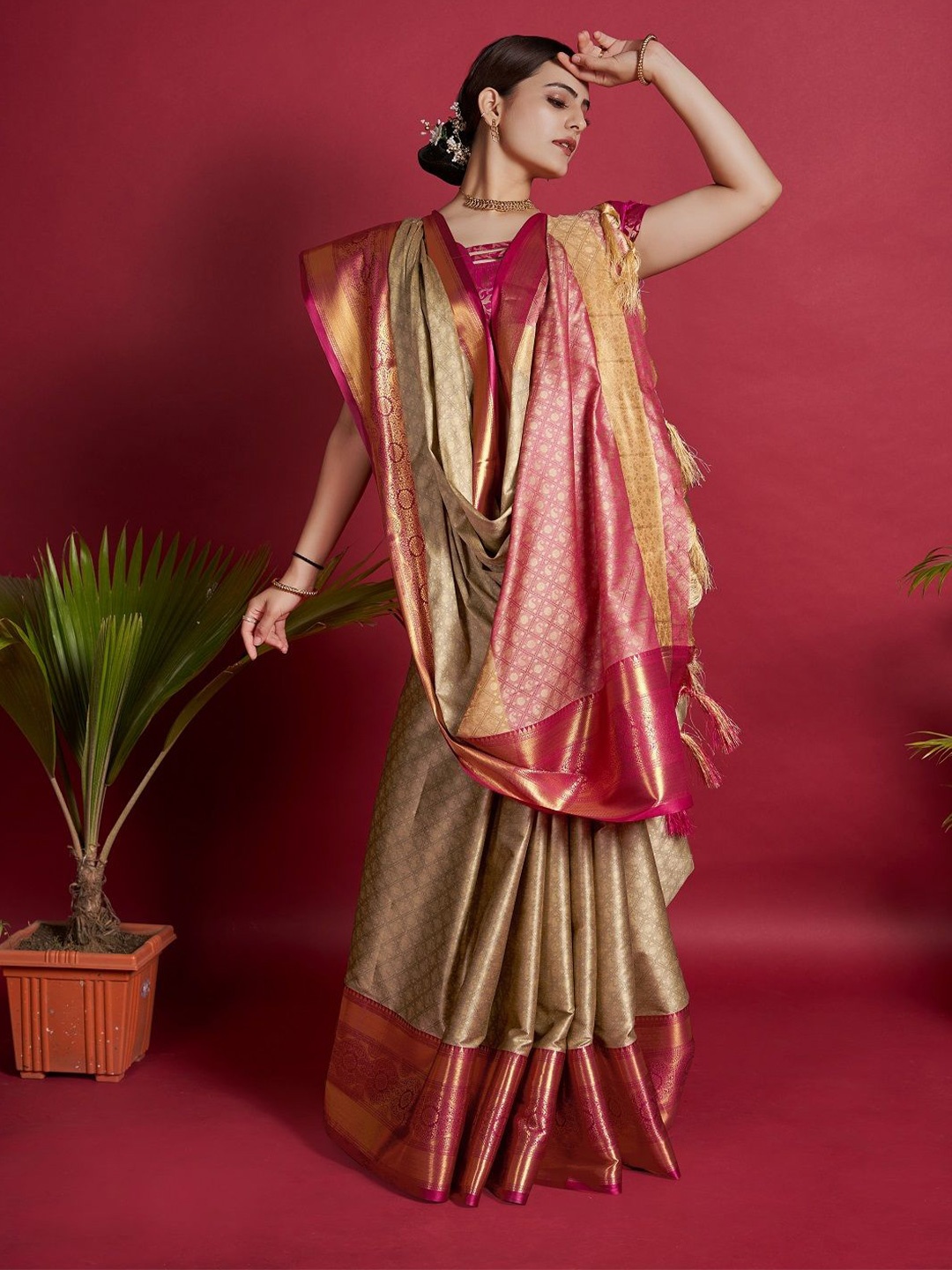 

LEOSAGI Woven Design Pure Silk Banarasi Saree, Beige