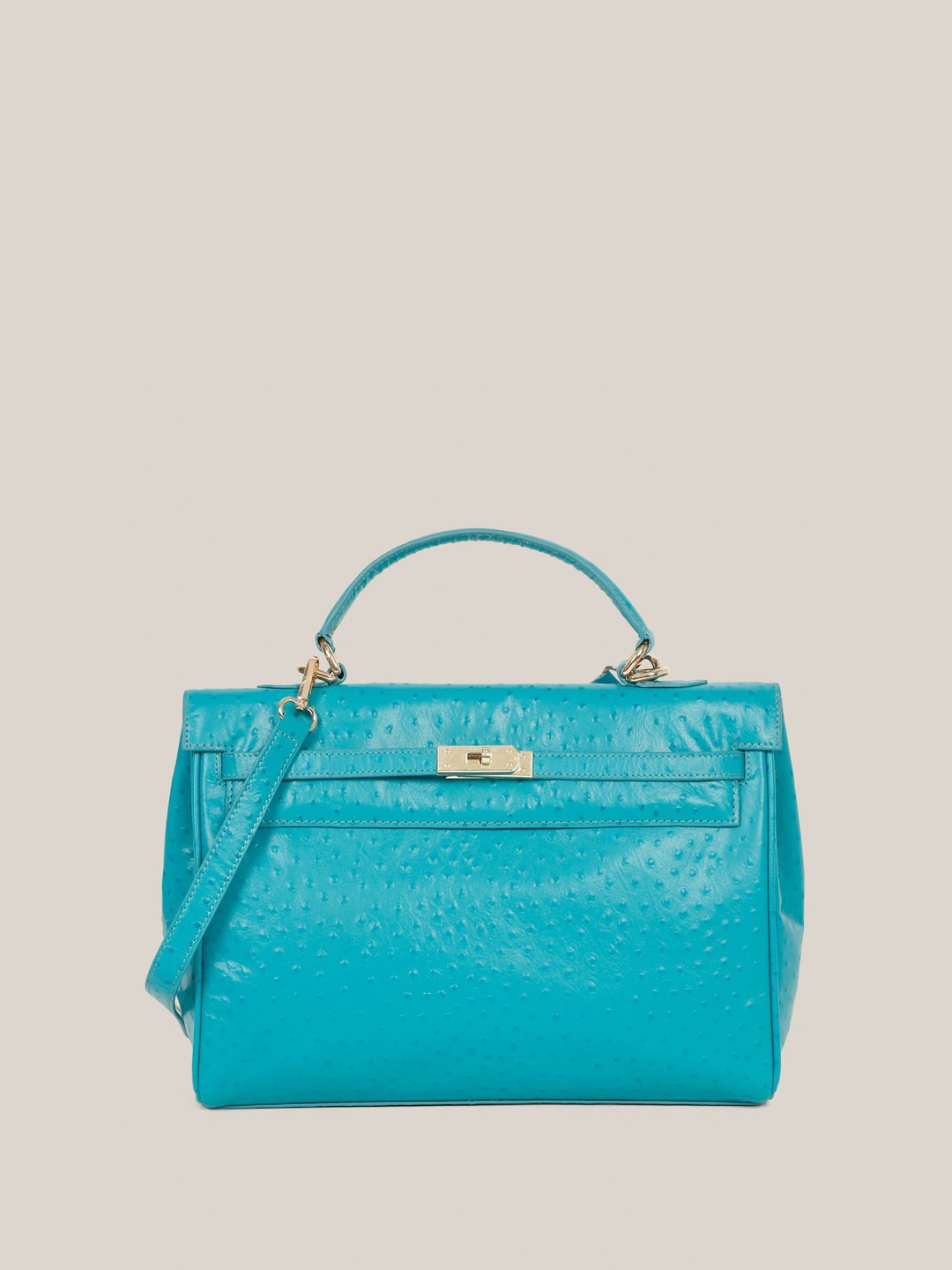 

HATS OFF ACCESSORIES Women Textured Structured Leather Handheld Bag, Blue
