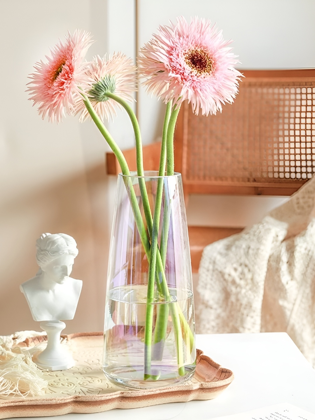 

Clovefry Clear Glass Vase for Decor Home Modern Large Flower Vases- 7 Inch, Transparent