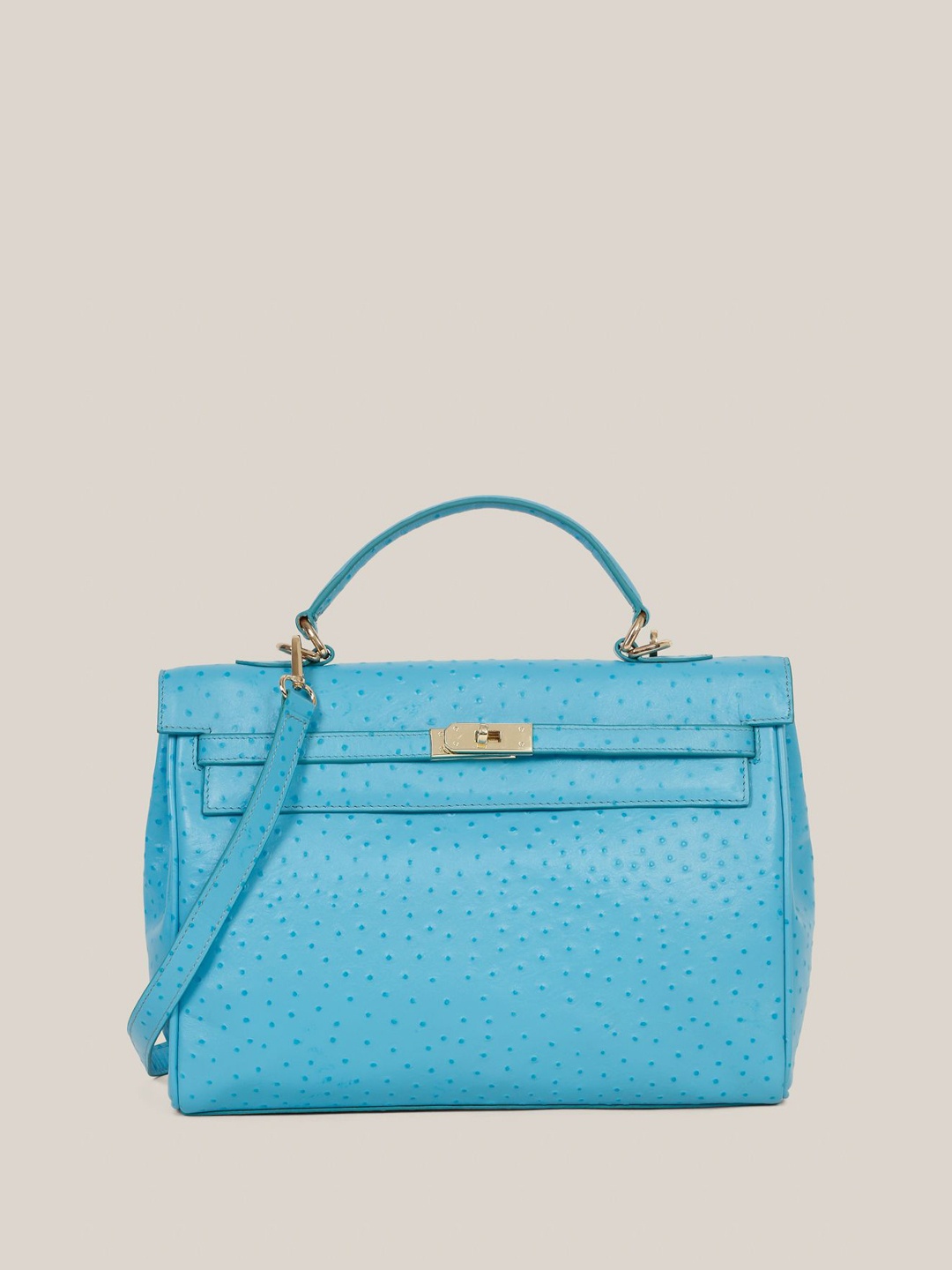 

HATS OFF ACCESSORIES Women Textured Structured Leather Handheld Bag, Blue