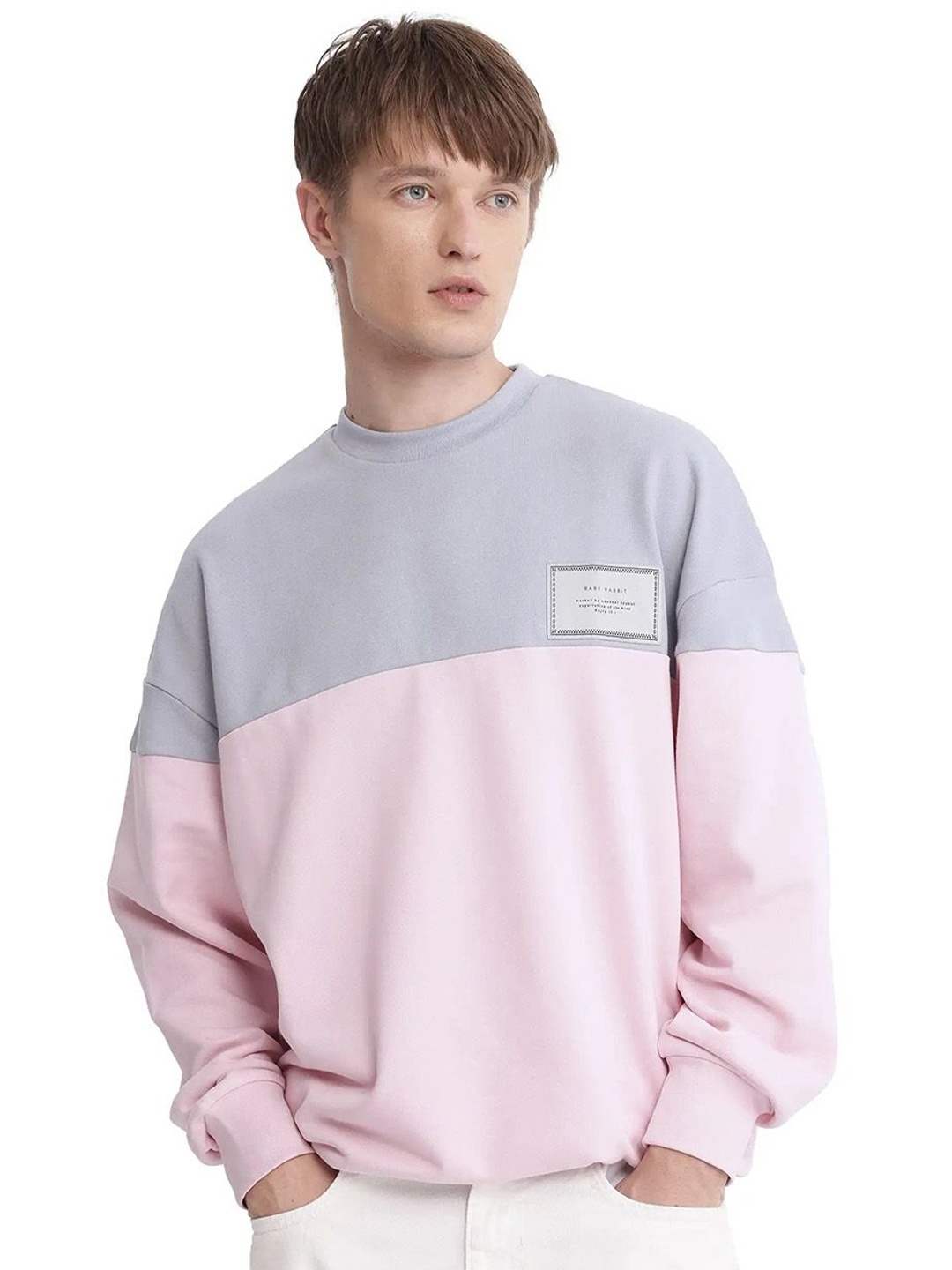 

RARE RABBIT Men Colourblocked Printed Sweatshirt, Grey