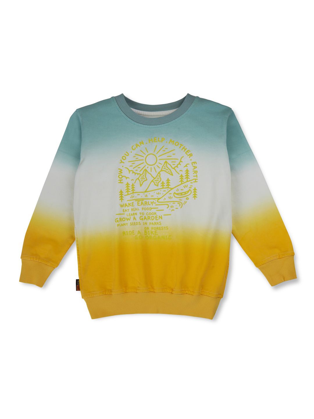 

Gini and Jony Boys Colourblocked Round Neck Sweatshirt, Multi
