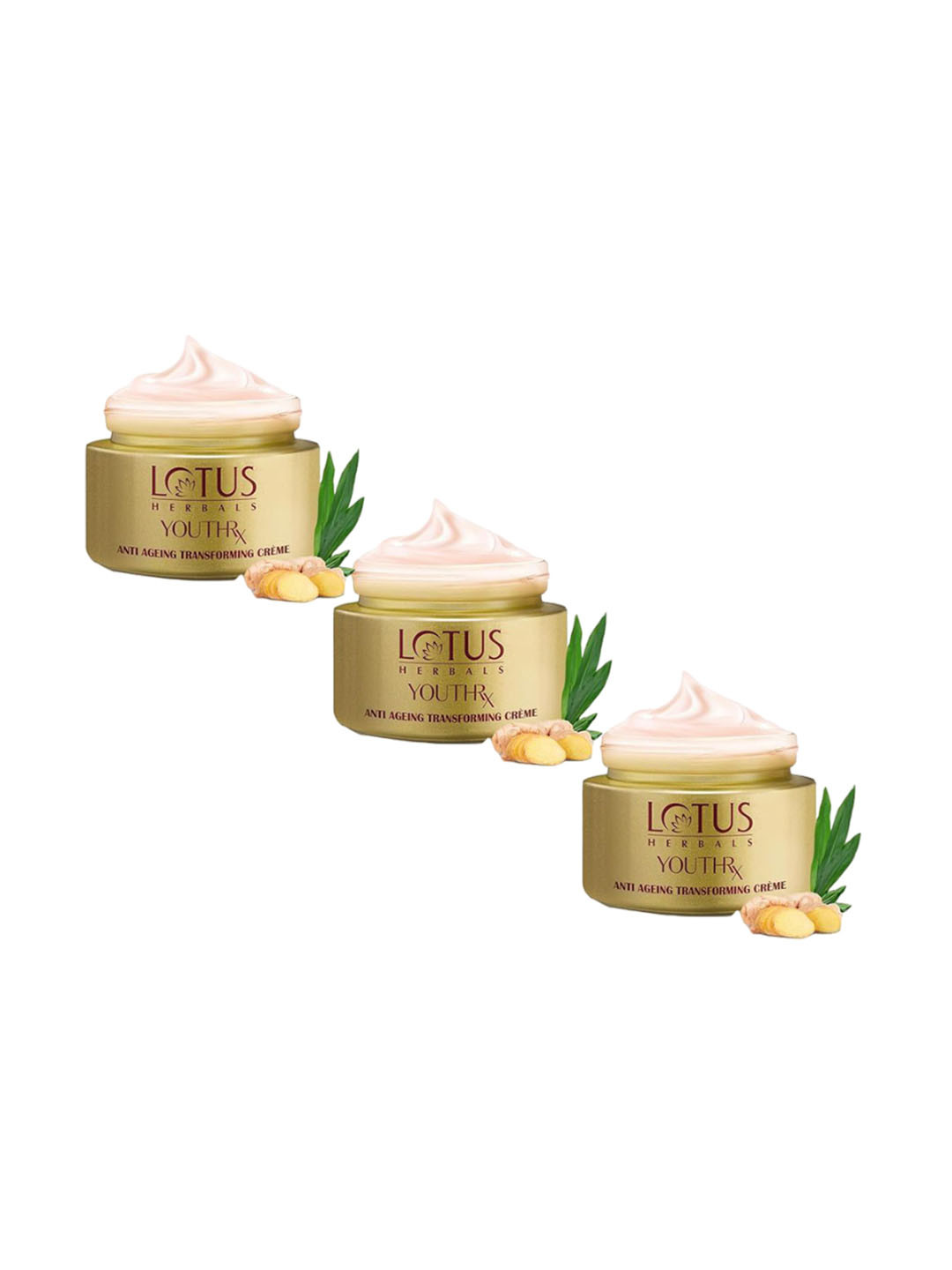 

Lotus Herbals Set Of 2 YouthRx Anti Ageing Transforming Cream SPF 25 PA+++ -50g Each, Gold