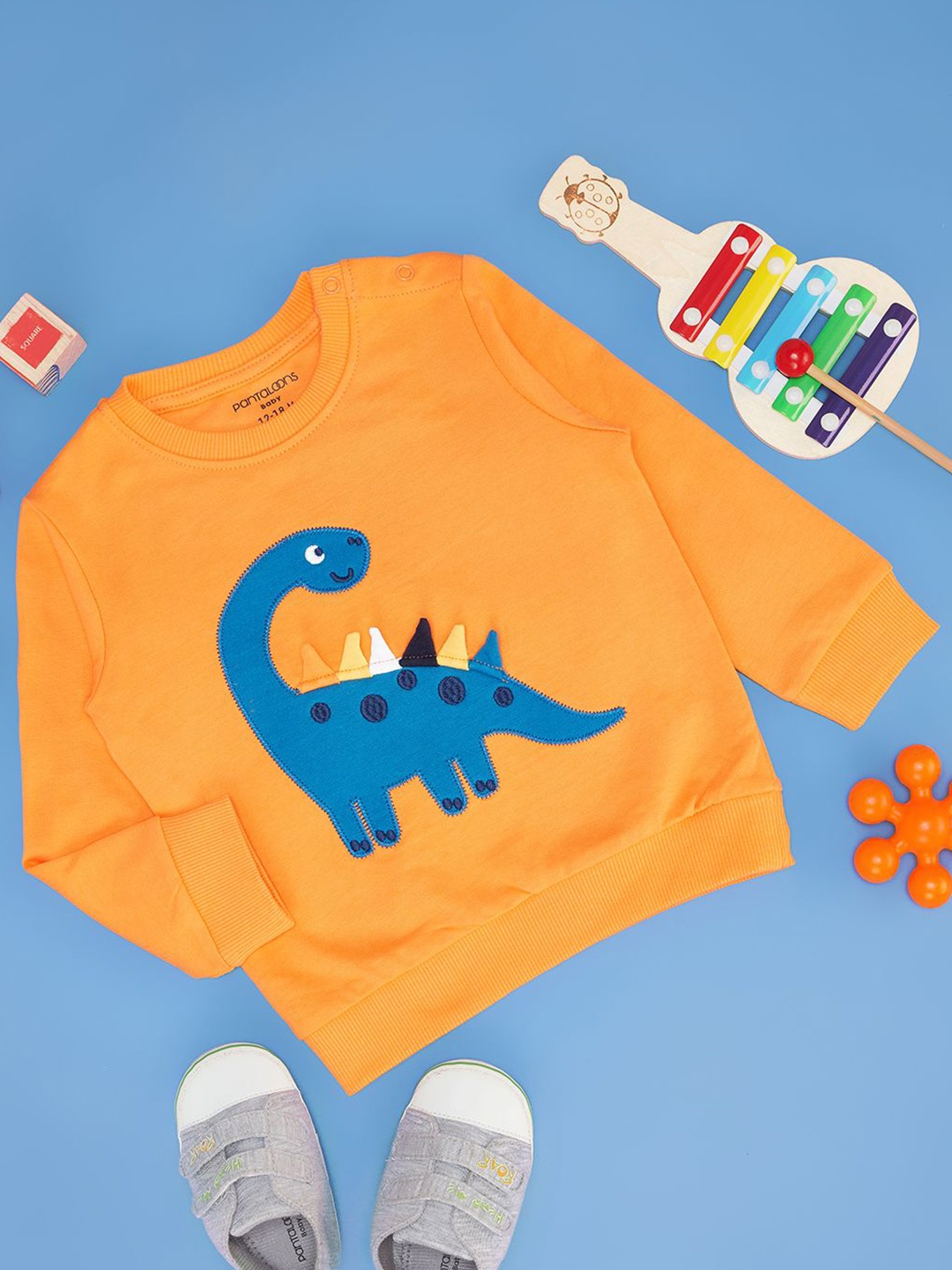 

Pantaloons Baby Boys Printed Sweatshirt, Orange