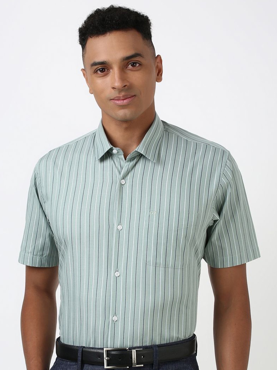 

Peter England Men Spread Collar Pinstripes Striped Cotton Formal Shirt, Green