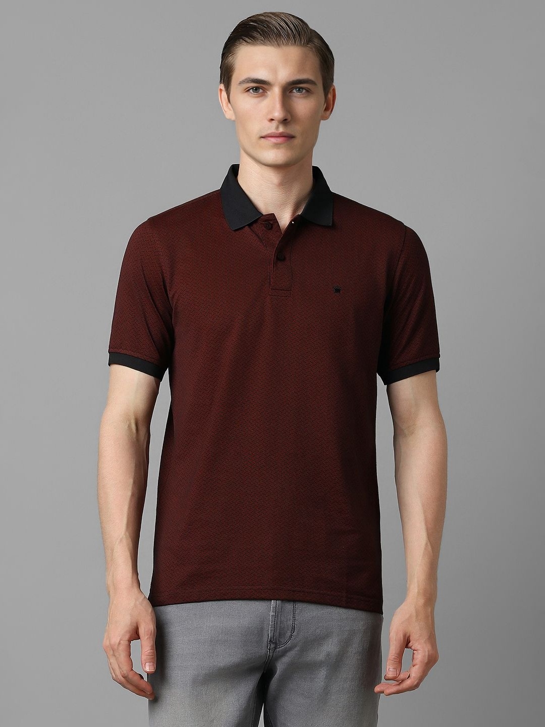 

Louis Philippe Men Solid Polo Collar Cotton T-shirt, Maroon