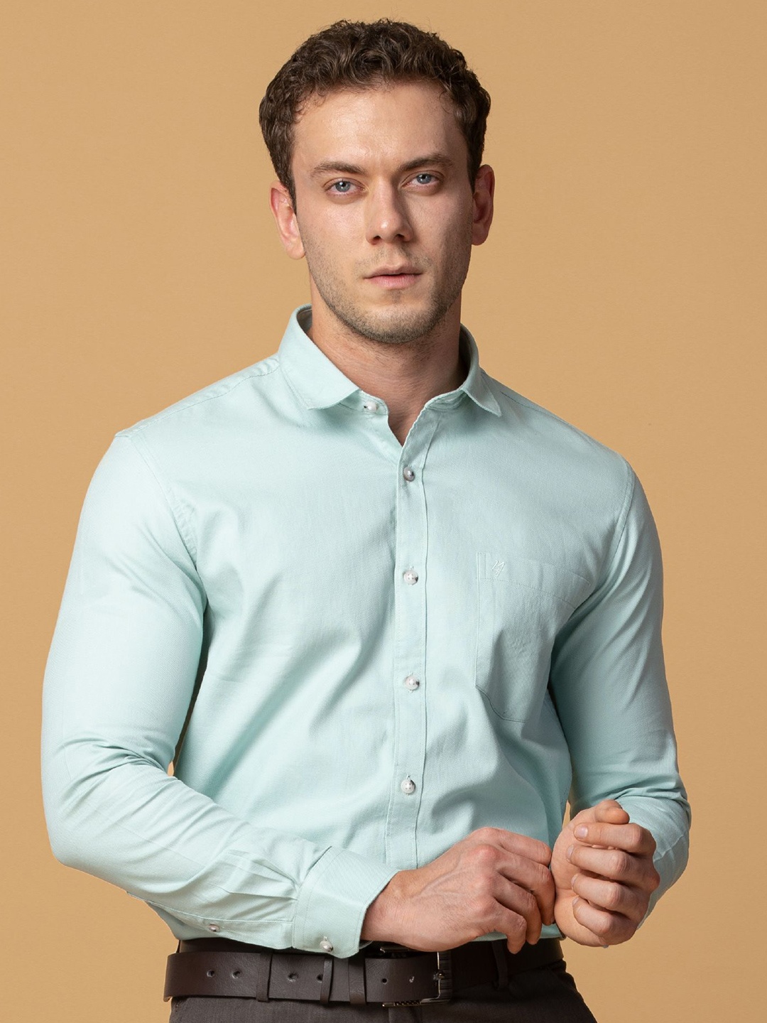 

Berkshire Men Comfort Spread Collar Solid Cotton Slim Fit Formal Shirt, Green