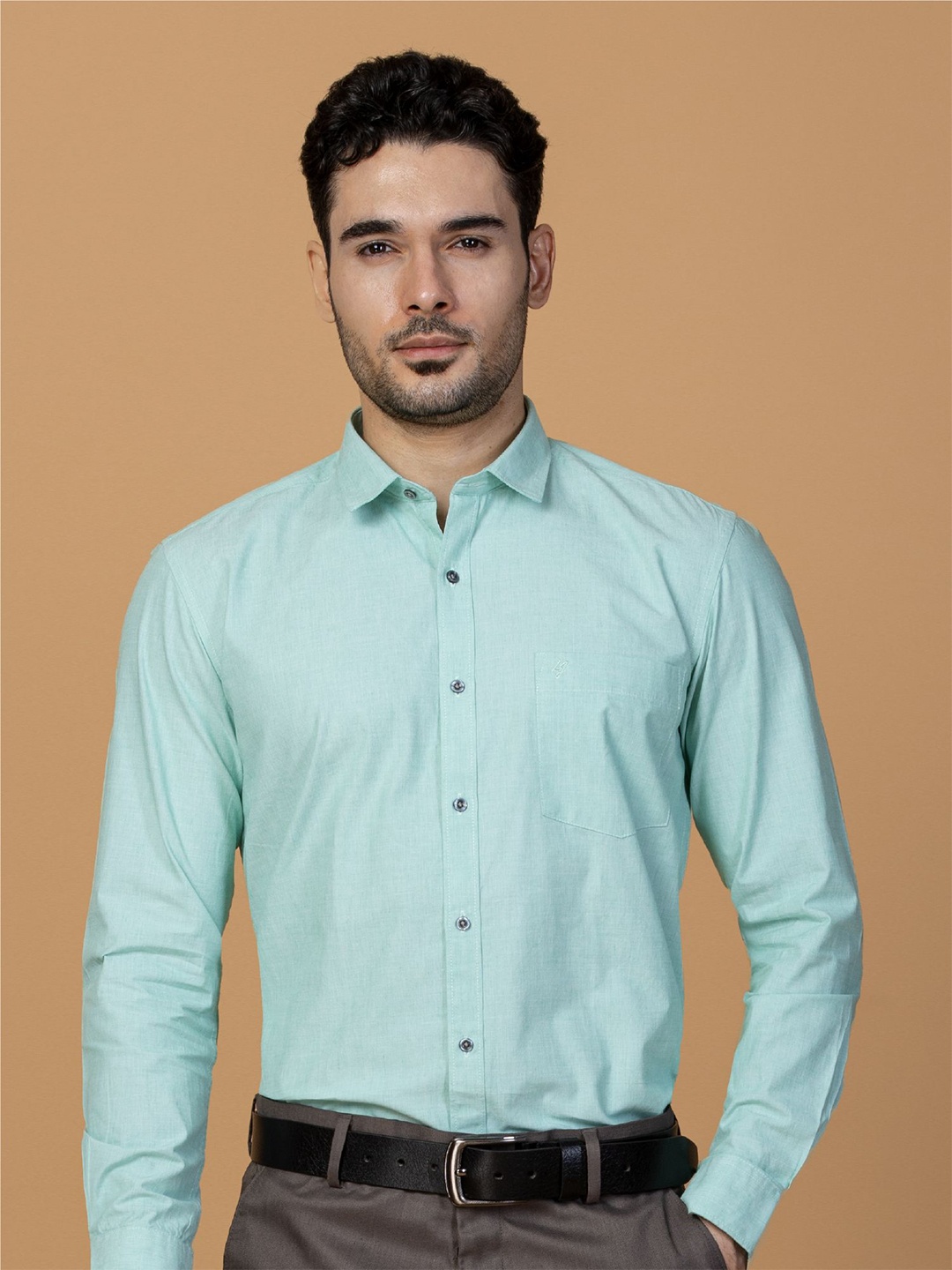 

Berkshire Men Comfort Spread Collar Solid Cotton Slim Fit Formal Shirt, Green