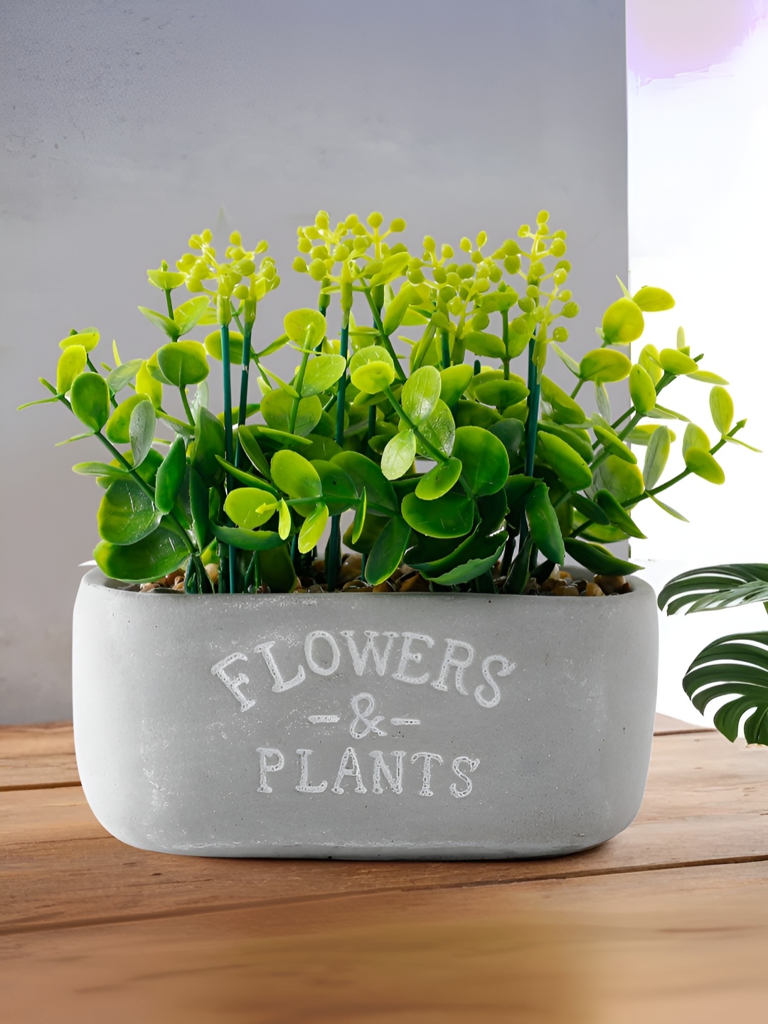 

UMAI Green & Grey Artificial Plant With Pot