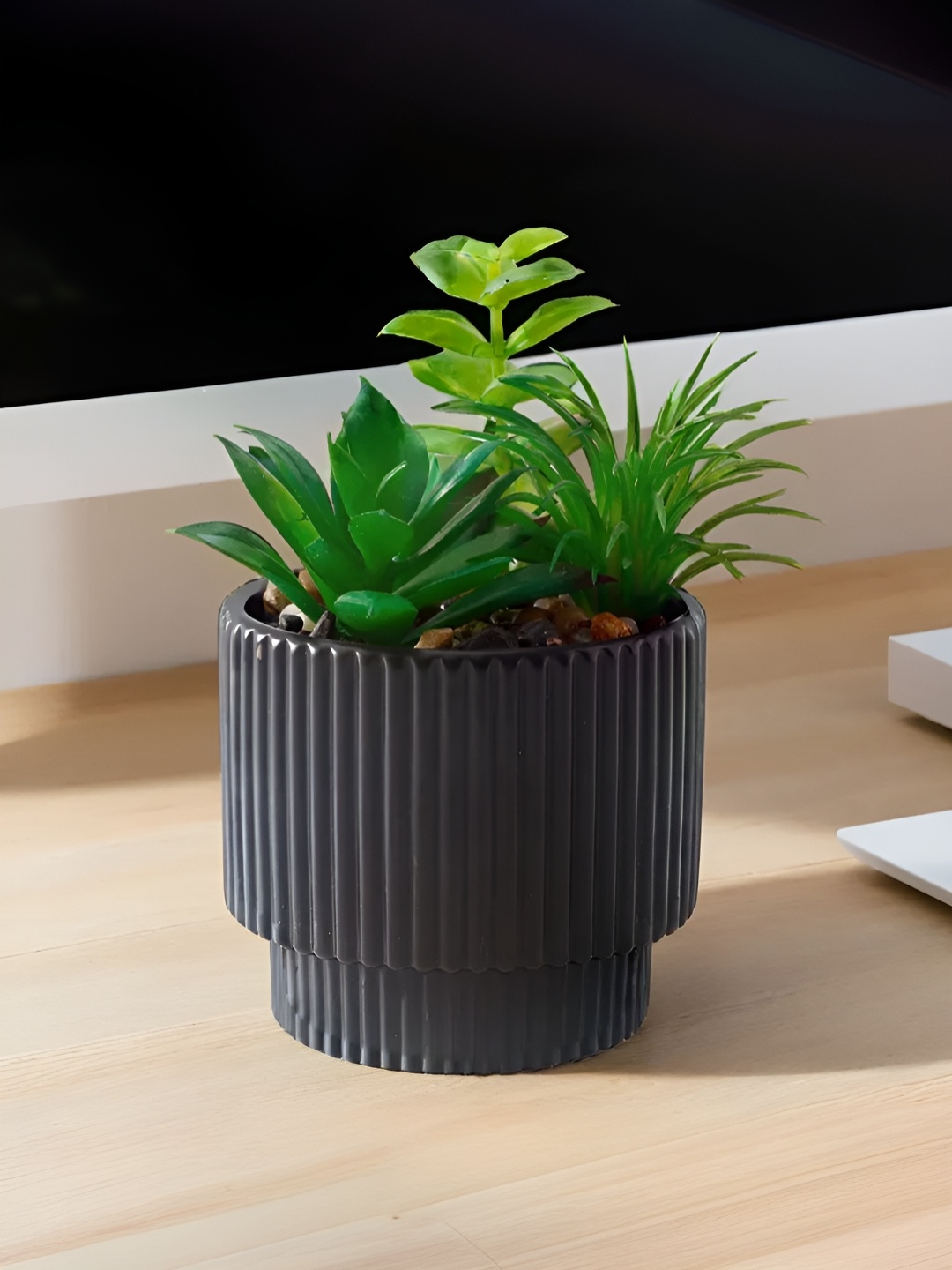 

UMAI Green & Black Succulent Artificial Plant With Pot
