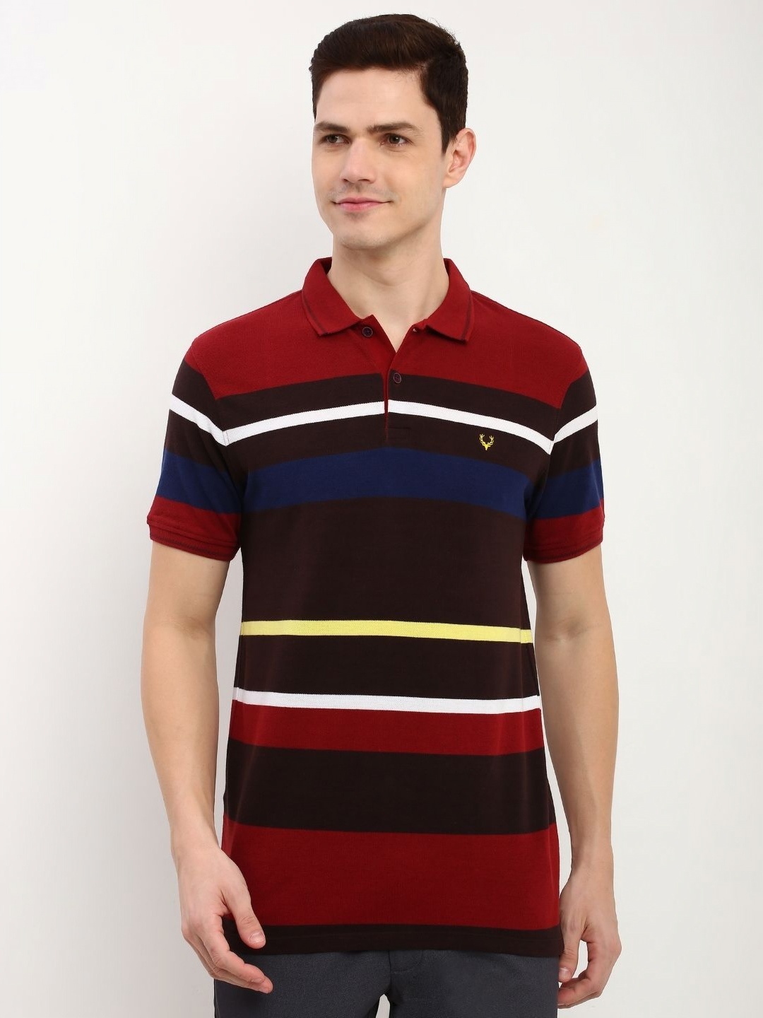 

Allen Solly Men Striped Polo Collar Applique T-shirt, Multi