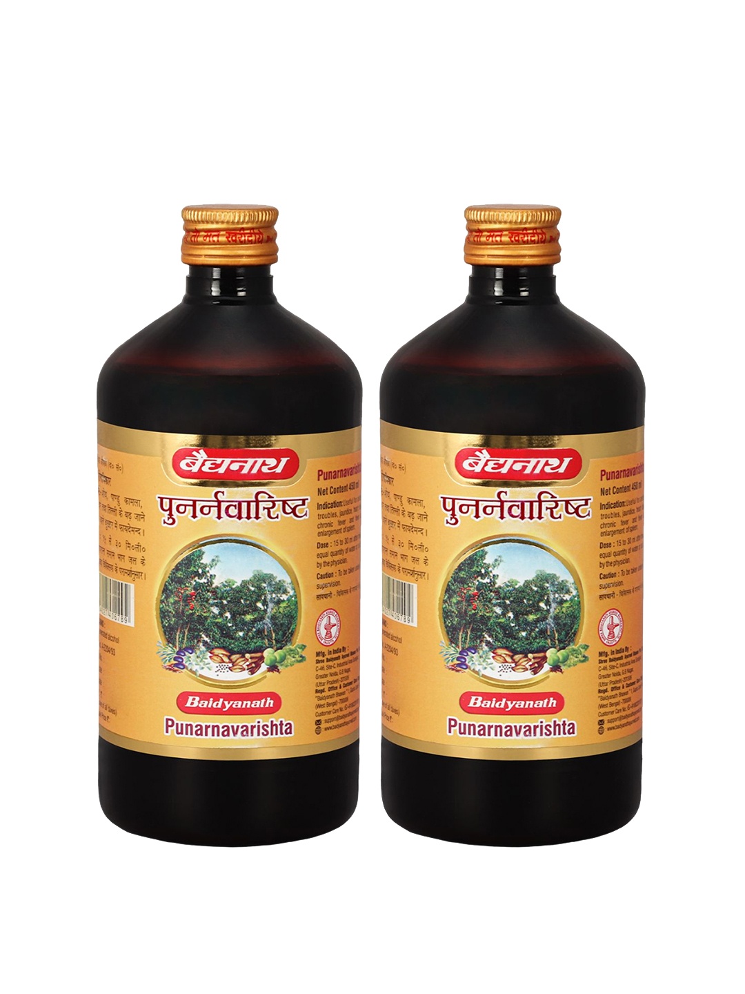 

Baidyanath Set Of 2 Punarnavarishta - 450ml Each, Brown