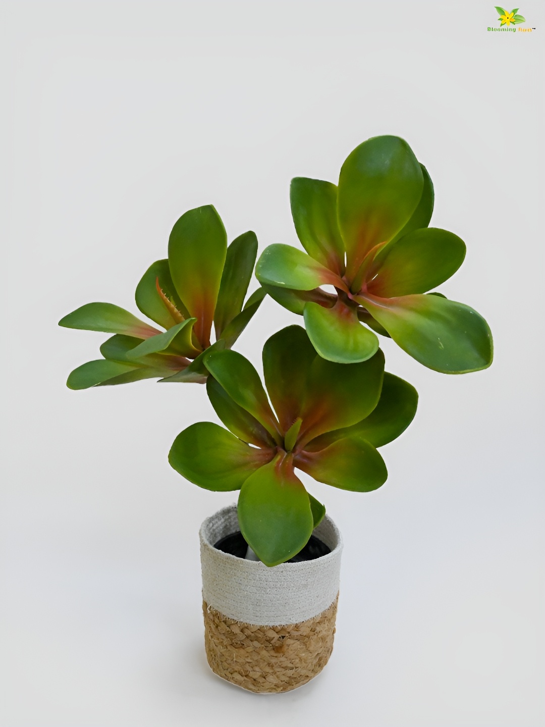 

Blooming Floret Green Kalanchoe Artificial Plant With Pot