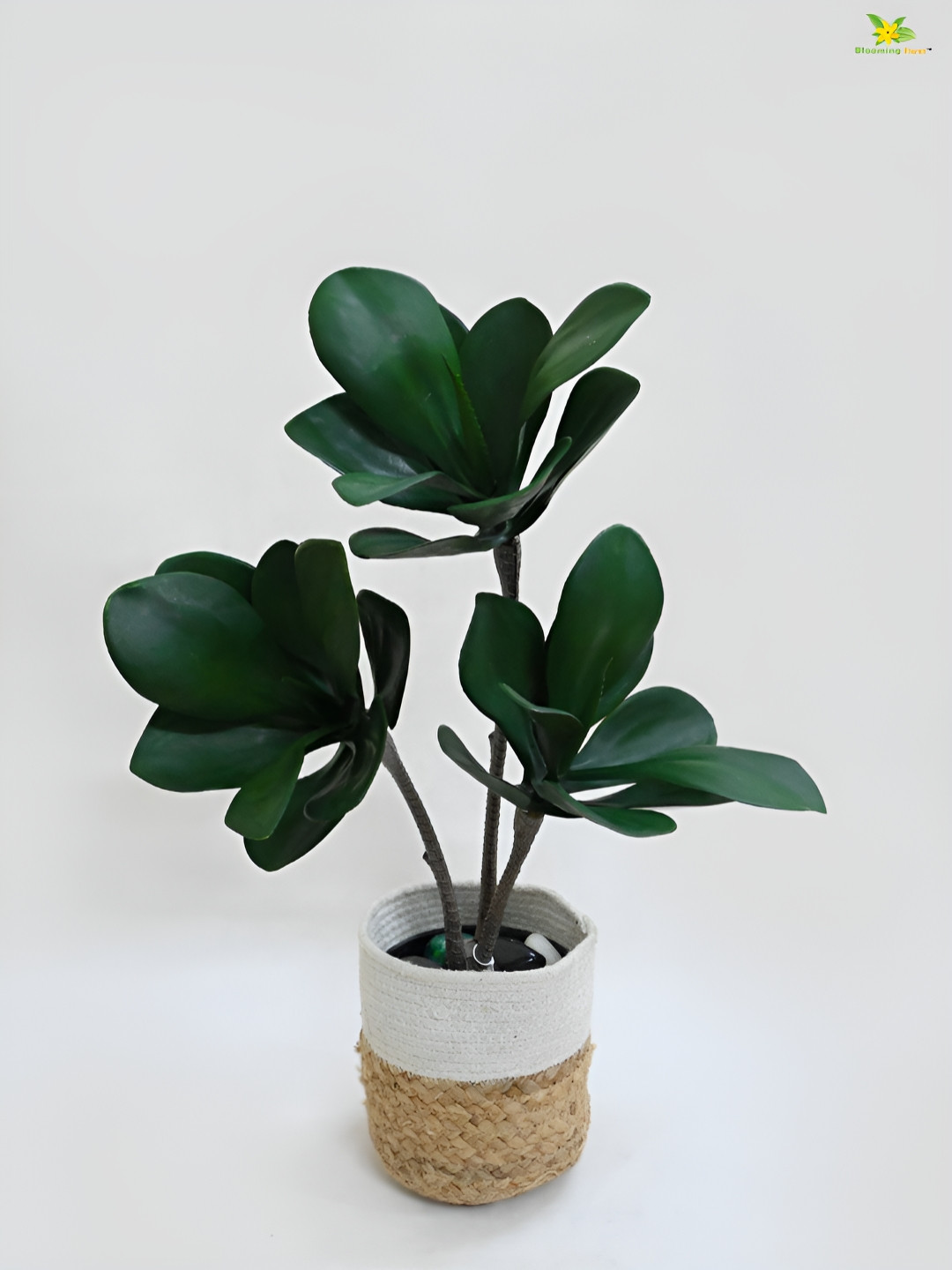 

Blooming Floret Green Anthurium Artificial Plant With Pot
