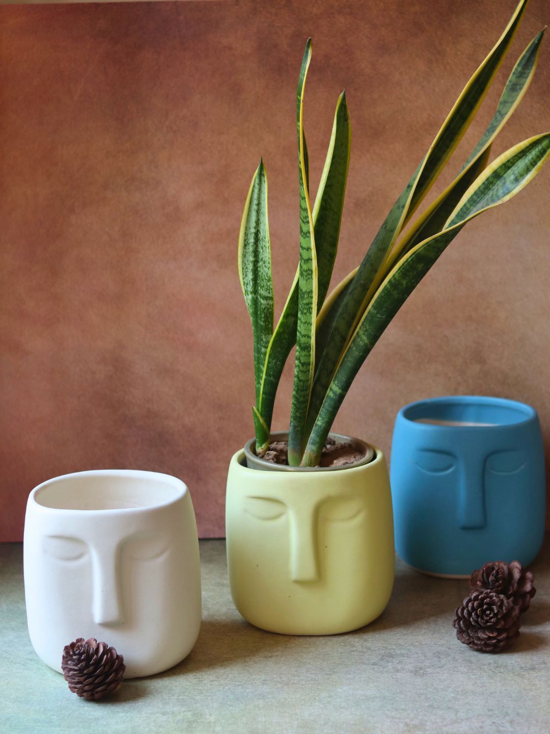 

WEAVING HOMES White & Blue 3 Pieces Nordic Face Ceramic Planters