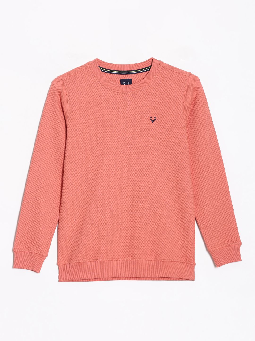 

Allen Solly Junior Boys Self Design Knitted Sweatshirt, Peach