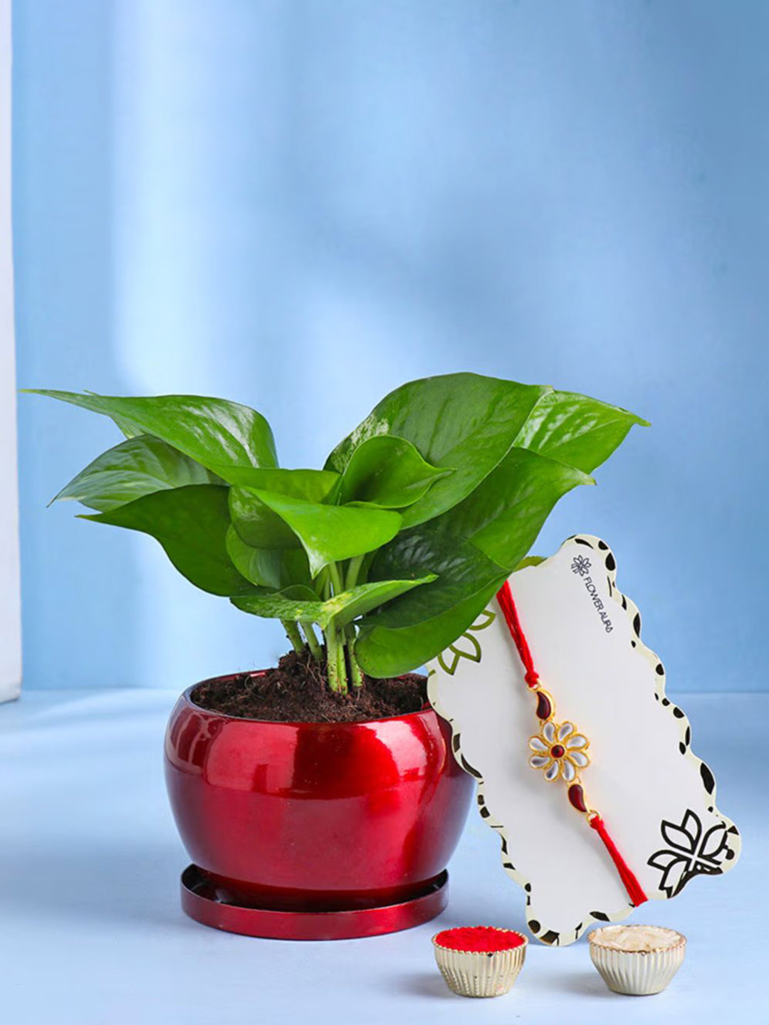 

Floweraura Set Of 1 Rakhi With Green Money Plant in Metal Planter, Multi