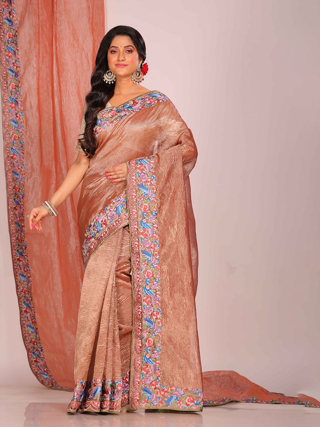

Morchari Solid Embroidered Tissue Saree, Brown