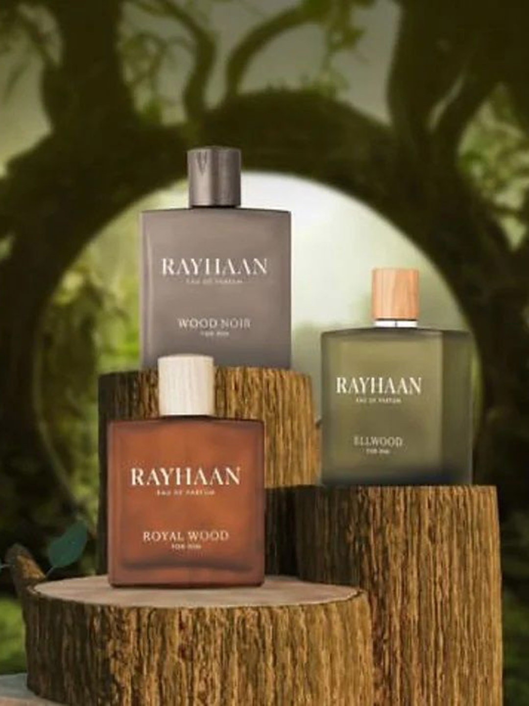 

RAYHAAN Ellwood Eau de Parfum- 100ml, Transparent