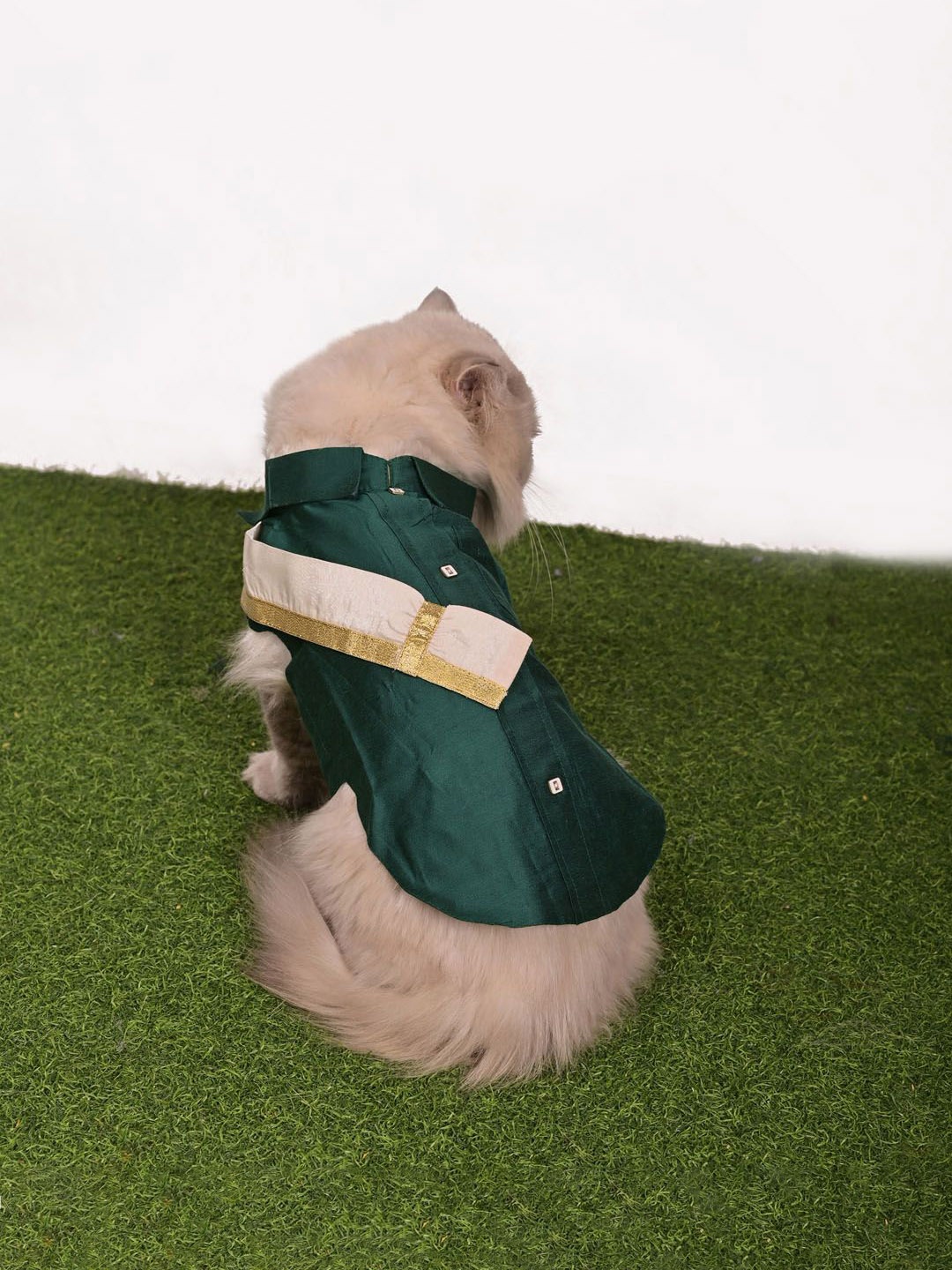 

VASTRAMAY Shirt With Angavastram Cat Dresses, Green