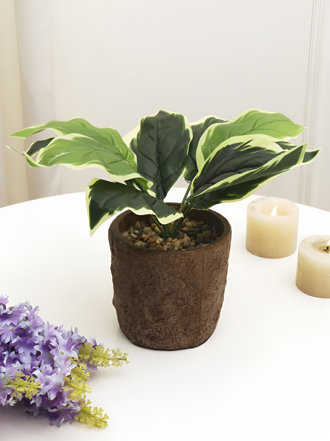 

XERGY Green & Brown Diffenbachia Artificial Plant With Pot