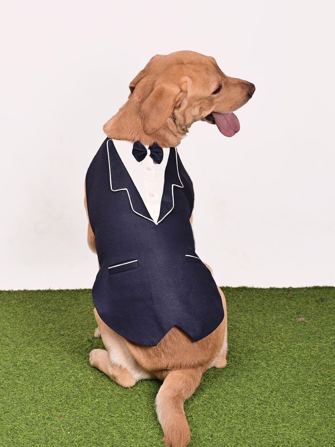 

VASTRAMAY Dog Tuxedo With Patch Pockets, Navy blue