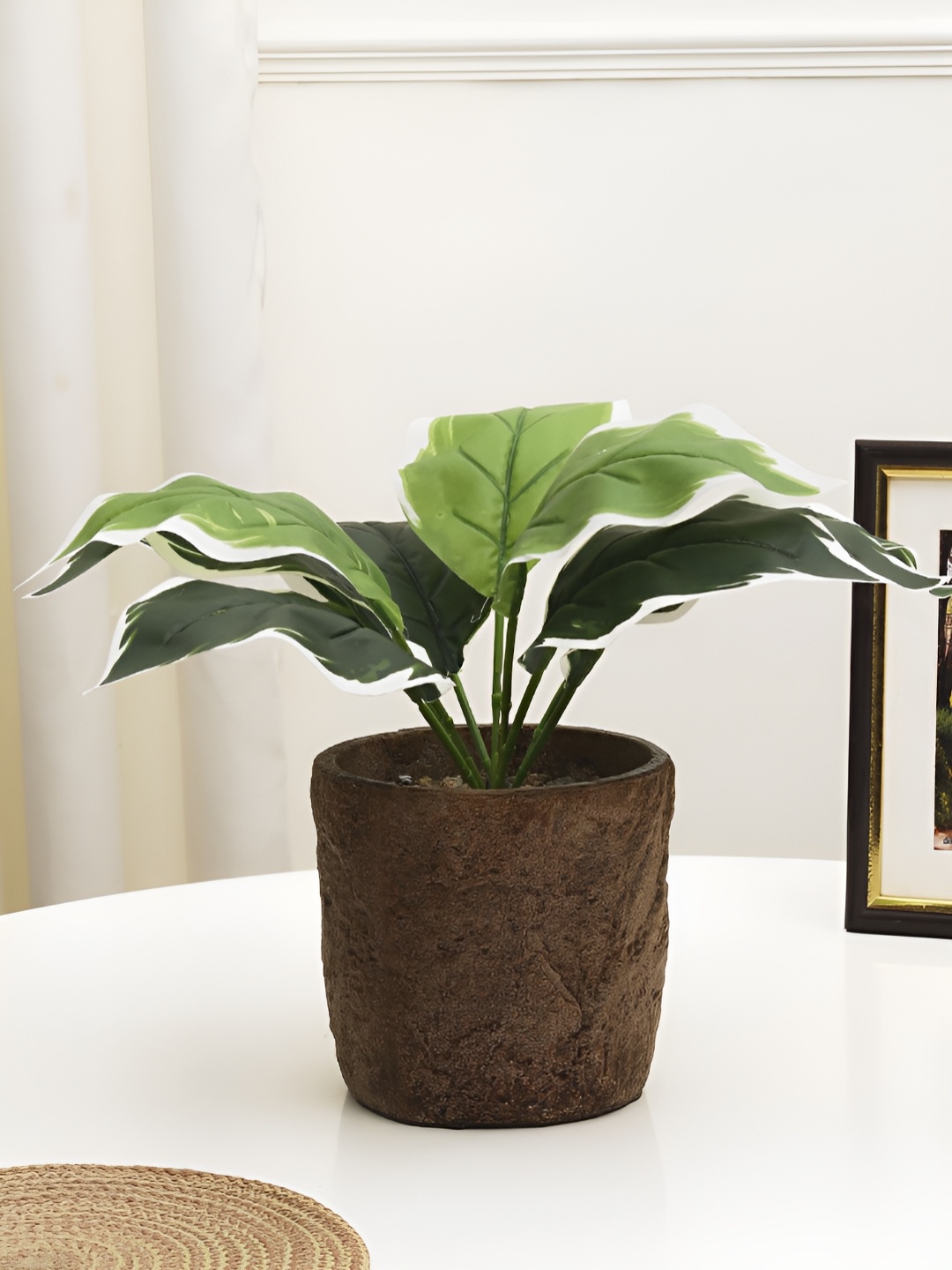 

XERGY Green & Brown Diffenbachia Artificial Plant With Pot