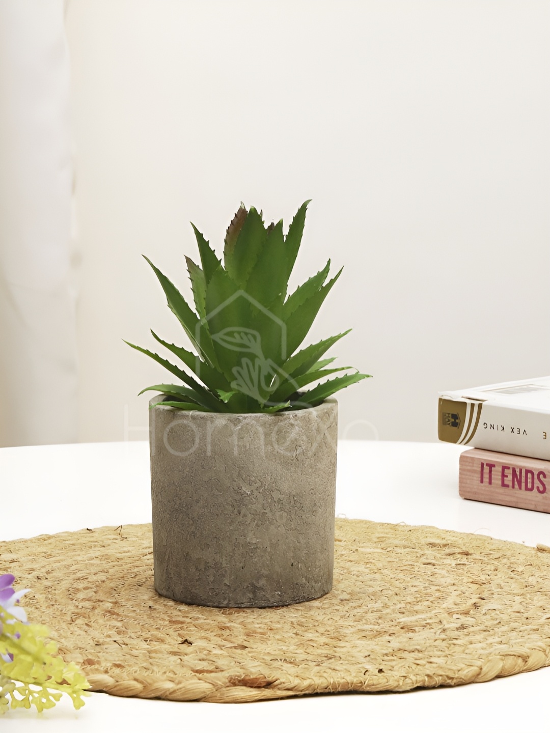 

XERGY Green & Off White Aloe Vera Artificial Plant With Pot