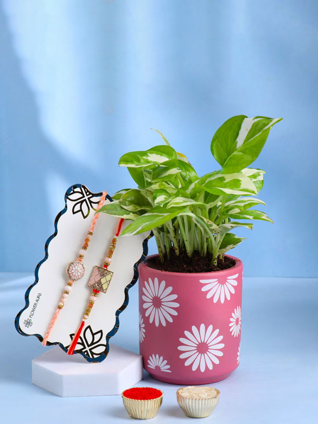 

Floweraura Set Of 2 Rakhi With Pothos Plant in Terracota Planter, Multi