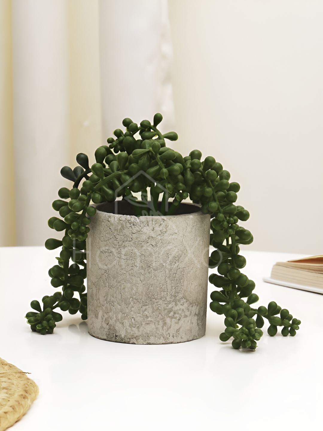 

XERGY Green & Off White StringofPearls Artificial Plant With Pot