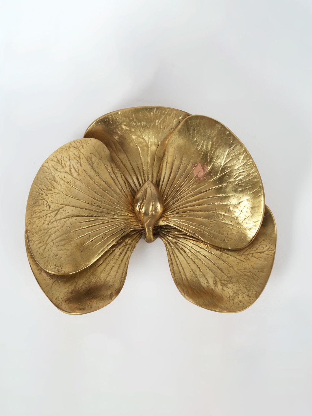 

Exotic India 7'' Beautiful Brass Orchid Wall Hanging Decor, Gold