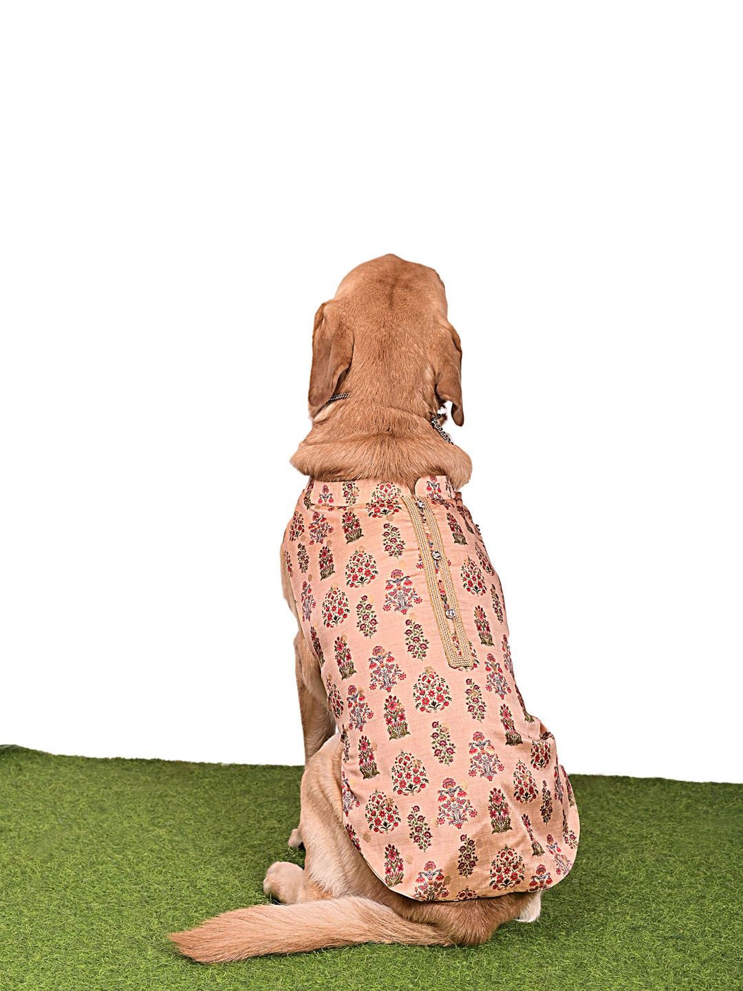 

VASTRAMAY Allover Graphic Printed Dog Kurta, Peach