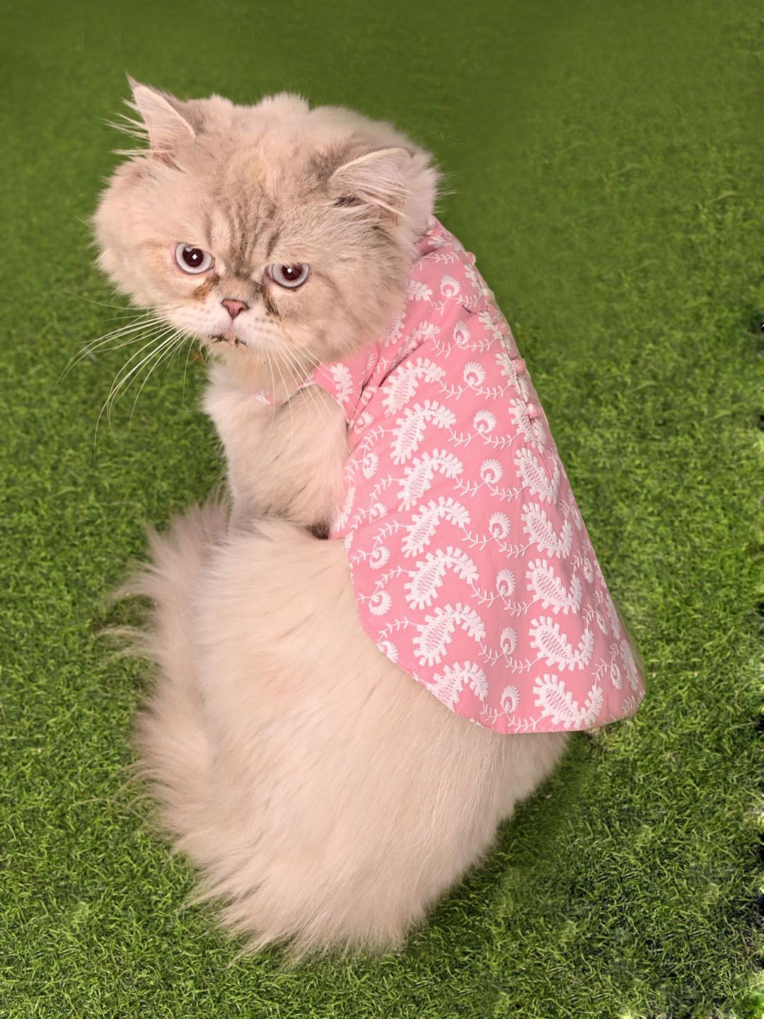 

VASTRAMAY Self Design Pure Cotton Cat Dress, Pink